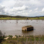 Portugal, Alentejo. 2016. The once natural river Guadiana was transformed in 2001 into the largest artificial lake in Europe.