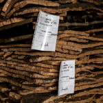 Portugal, Algarve, São Braz de Alportel. 2013. The NovaCortiça cork factory. Cork slices are being sorted into first and second grades.