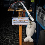 Portugal, Azores, Pico. 2007. Whaling used to be one of main sources of income till it was banned in 1986. Nowadays whale watching has become a lucrative activity.