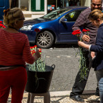 Portugal, Lisbon, Chiado. 2014. Celebration of 40 years of democracy and freedom. The Carnation flower is the symbol of the revolution that took place on 25 April 1974.