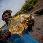 Guinea-Bissau, Cacheu province, Bolol. 2013. Catch of the day.