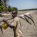 Guinea-Bissau, Cacheu province, Bolol. 2013. A man returns home with his daily catch.