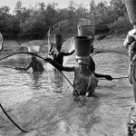 Guinea-Bissau, Cantanhez, near Cadique village. 2006. Women catch fish with traditional nets in a creek of River Cumbija.