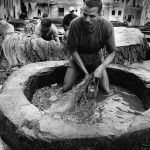 Morocco, Fes. 2005. A man tans animal skins in the center of the medieval city of Fes using centuries old methods.