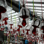 Portugal, Ericeira. 2007. A market stall loaded with giant baby soothers during a fancy fair.