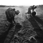 Guinea-Bissau, K3 village, on the outer marshes of the Cacheu river. 2005.Two women collect silt from the river forelands that were once fertile rice fields. At home, they filter and boil the silt with water and obtain good quality salt.