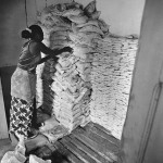 After silt has been collected from the river outer marshes, women filter the silt with water and obtain good quality salt that they sell on the market.