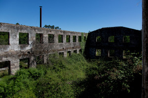 Portugal, Beira Litoral, Parada de Gonta. 2014. Former textile factory.