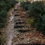 Portugal, Alentejo. 2011. Sleepers of the abandoned railway track between the mines of São Domingos and Pomorão.