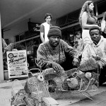 Zimbabwe, Harare. 1996. Selling toys in the Newlands shopping mall.