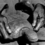 Zimbabwe, Mvurwi. 1988. Kakoma Kweli, the oldest sculptor of the Tengenenge community, holds a new creation in his hands. Kweli started working with stone at the age of 82. He died in1998.