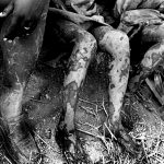 Africa, Guinea-Bissau. 2006. Muddy legs of men and women after catching fish in a creek of the river Cumbijá.