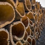 Portugal, Algarve, Ameixial. 2016. A storage of harvested cork bark ready for transport to the factory. Portugal is the world biggest exporter of cork with a yearly production of 340.000 tonnes. It is used in the wine trade, building materials, insolation, clothing, shoes, furniture, cars and space technology.