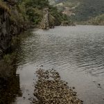 Portugal, Alto Douro. 2017. View at the River Tua valley near the former railway station of São Lourenço (marker 15) where the railway is being submerged with the ballast just slipping beneath the water.