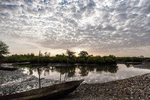 Guinea-Bissau, Djobel. 2013. Sunrise at low tide.