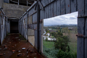 Portugal, Beira Litoral, Coimbra, 2014. Abandoned animal fodder plant 'Triunfo'.