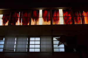 Portugal, Beira Litoral, 2014. Paper factory, established in 1804 and the first paper plant in Portugal with an engine-driven paper press. It closed in 1986.